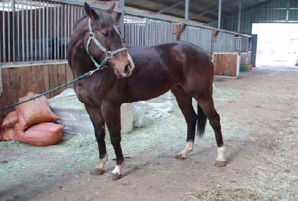 ���Ϸ��ư� ����