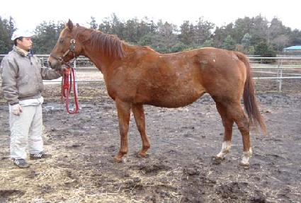 ���̵�����Ƽ��� ����