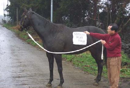 ��Ʈ������������ ����