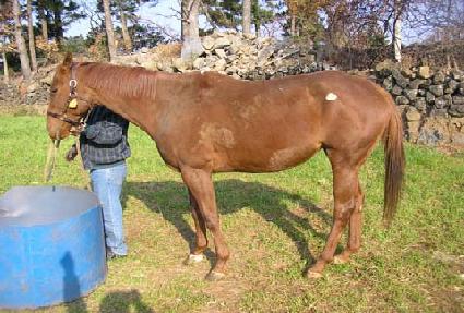 ���̻緪 ����