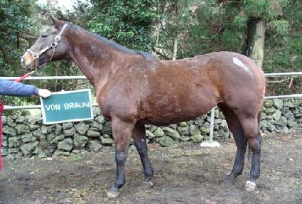 ������ ����