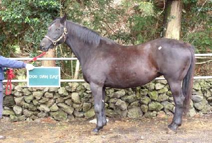 �δٵ��� ����