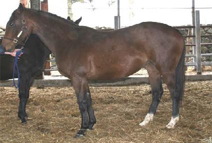 �ø��� ����