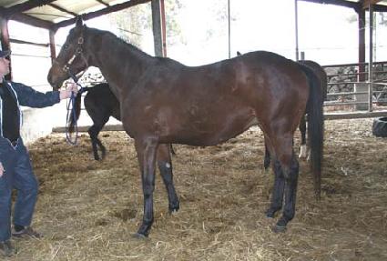 �Ʋ��ũ ����