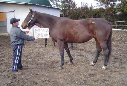 ������ ����