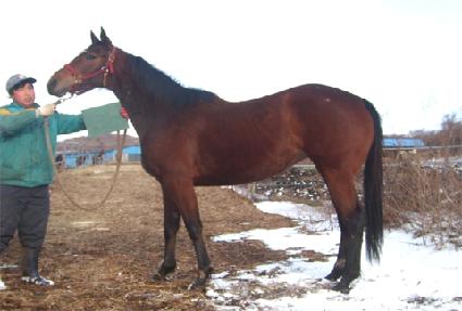 ��ʷ귯 ����