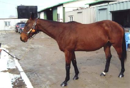 ��Ƽ��Ÿ�ϸ� ����