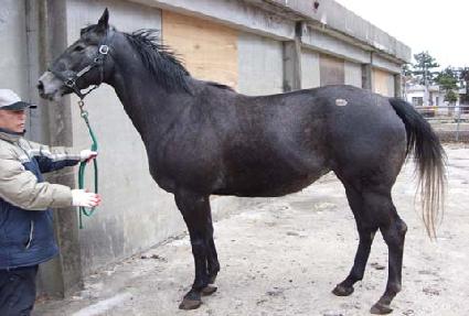 �������� ����