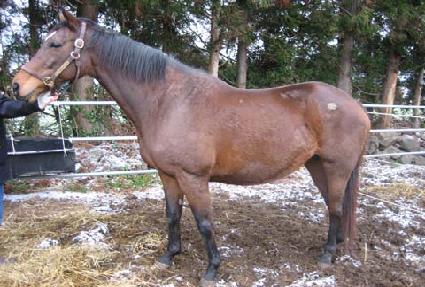 Ʈ��Ŭũ���̽� ����