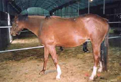 ���п���Ʈ ����