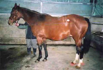 ������Ÿ ����