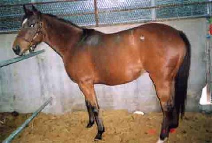 �������־� ����