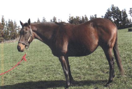 ��ũ���� ����