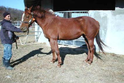 �һ��̾�ƼĿ�Ǵ� ����