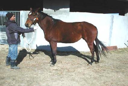 �����������ǽ�Ʈ ����