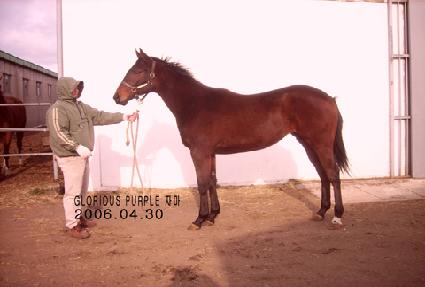 �����ǹ̼� ����