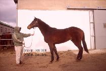 �ƿ��ص��ٿ� (OUT AND ABOUT) ����