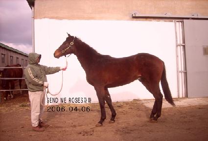 �ƿ��ص��ٿ� ����