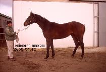 û�þ� (CHEONGNYEONAM) ����