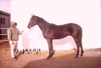 ��ۼ��� (GIPPEUN SESANG) ����