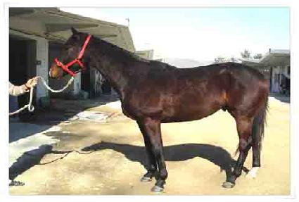 ��Ʈ�������� ����