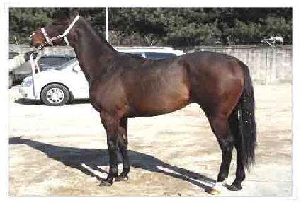 �������̱� ����