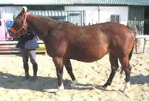 �׷������ (GRAND MEETING) ����