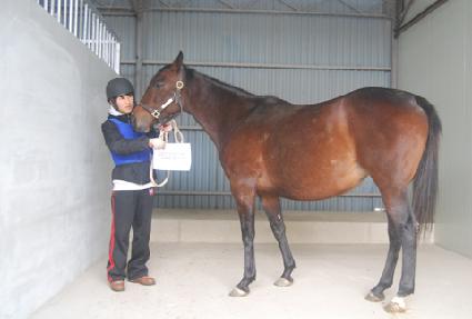 ������ ����