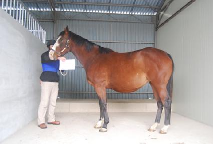 �̽ý����� ����