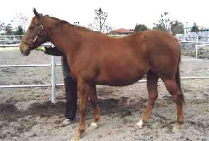 �ڹ��ο� ����