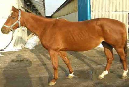 ƿ����Ǯ�� ����