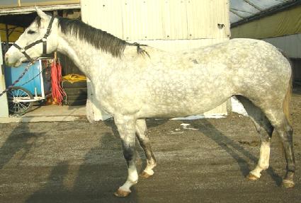 �δ���� ����