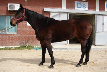 ��Ʈ���ڽ�Ʈ ����