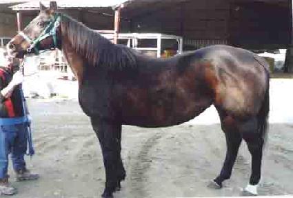 ���߳��ҽ� ����