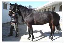 �������̽��� (PRECISE WIN) ����