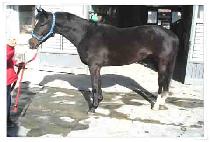 ����ó�� (UJUCHEOREOM) ����