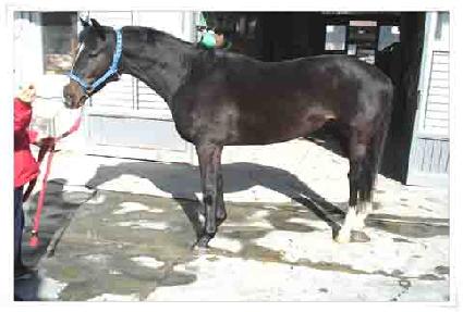 ����ó�� ����