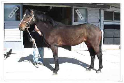 ���丮Ÿ�� ����