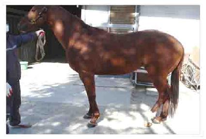 �ο��̻��� ����