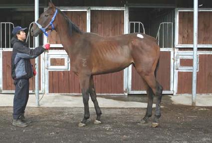 ��ī ����