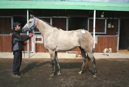 �����ƽǵ� ����