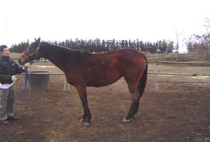 ���ﷻ�� ����