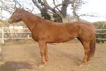 ���̺� (KAYVILLE) ����