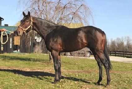 �ÿ��ΰ�� ����