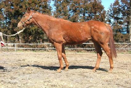 ��������Ʈ ����