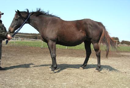 ���ϵ�Ĺ��Ʈ����ũ ����