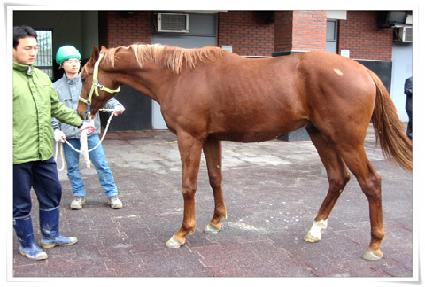 ����Ʈ�� ����