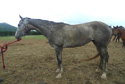 �Ŀ��� ����