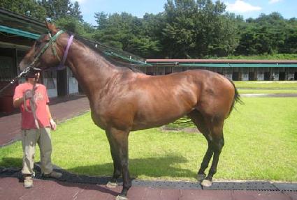 ��Ʈ�յ�ǵ� ����