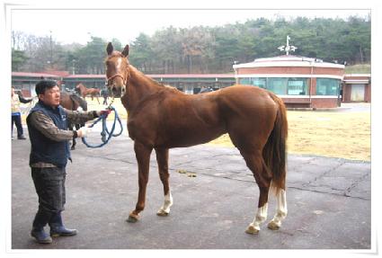 �ö��׾�Ű ����